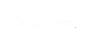 墨宇網頁設計_星星電力股份有限公司_logo